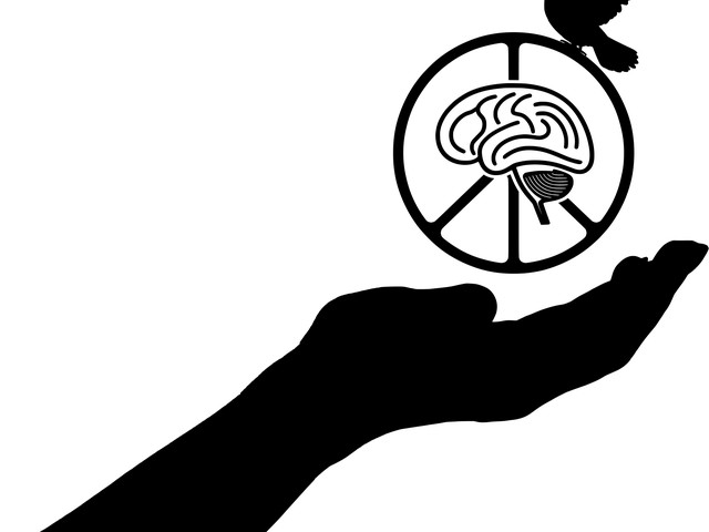 瑞文智力测试准吗