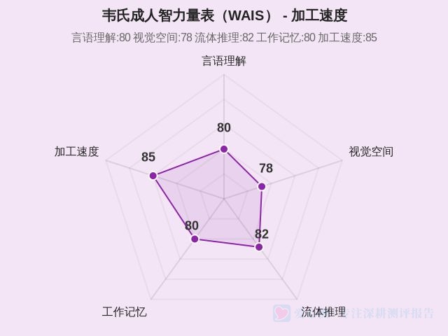 韦氏成人智力量表（WAIS）-因子维度5