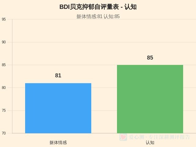 BDI贝克抑郁自评量表-因子维度2